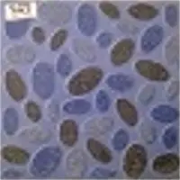 Floor tiles